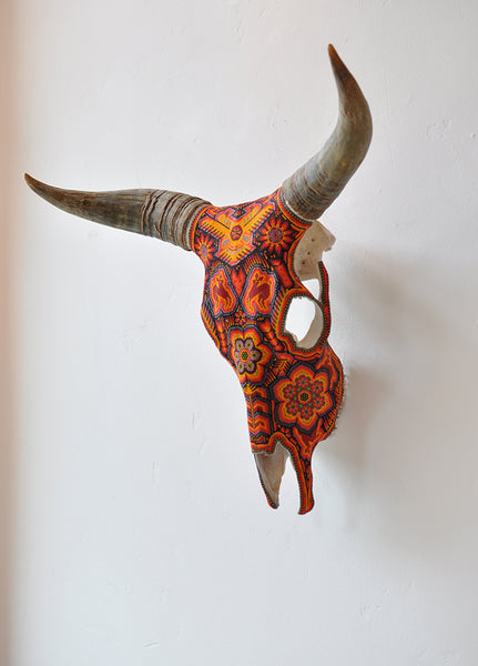 Huichol deals bull skull