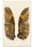 Grand Format Wings & Tails