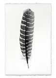 Feathers