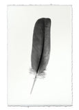 Feathers
