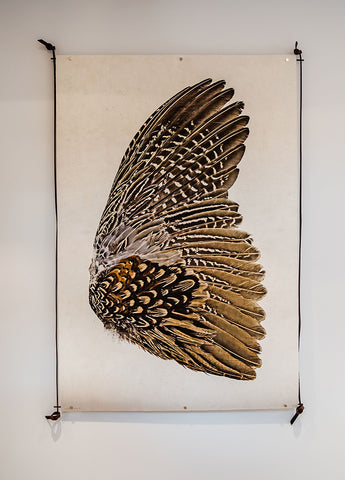 Archival Prints Frames and Hangers
