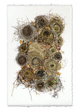 Nests