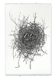 Nests