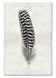 Feathers