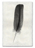 Feathers