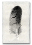 Feathers