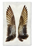 Wings & Tails