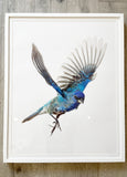 Indigo Bunting