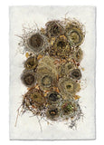 Nests