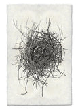 Nests