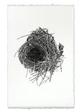 Nests