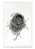 Nests