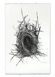 Nests