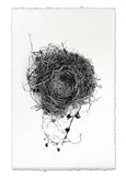 Nests
