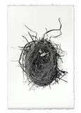 Nests