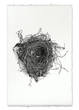 Nests