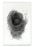 Nests