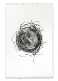 Nests