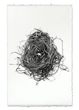 Nests