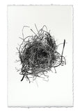 Nests