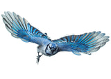 Blue Jay