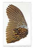 Wings & Tails