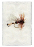 Fishing Flies