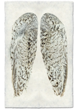 Wings & Tails
