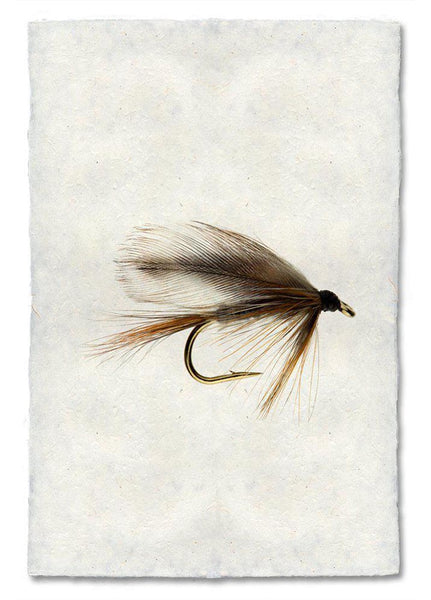 Fly Fishing - Paper Print