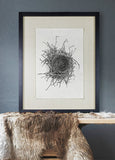 Nests