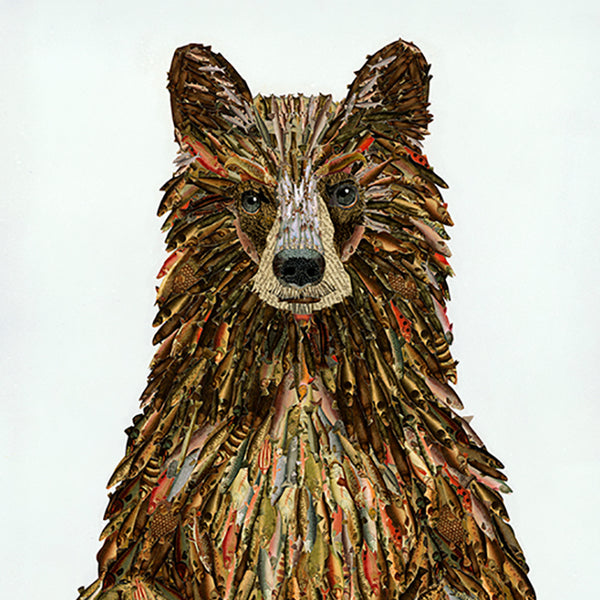Bears