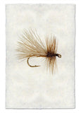 Fishing Flies