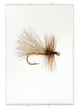 Fishing Flies