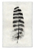 Feathers