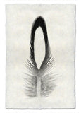 Feathers