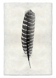Feathers