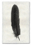 Feathers