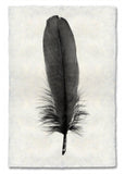 Feathers