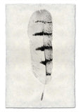 Feathers
