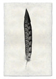 Feathers