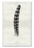 Feathers