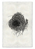 Nests