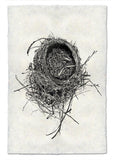 Nests