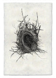Nests