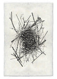 Nests