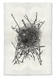 Nests