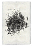 Nests