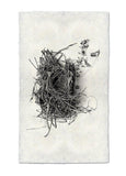 Nests