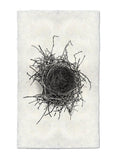 Nests
