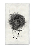 Nests